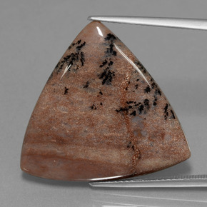 Agate dendritique multicolore naturelle trillion, 19,37 ct, opaque
