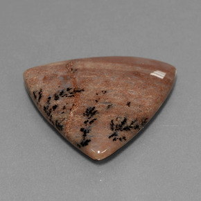 Agate dendritique multicolore naturelle trillion, 19,37 ct, opaque