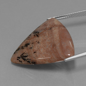 Agate dendritique multicolore naturelle trillion, 19,37 ct, opaque