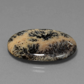 Dendritique Agate Multicolore naturelle Coupe ovale, 25.50 ct, Opaque