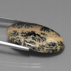 Dendritique Agate Multicolore naturelle Coupe ovale, 25.50 ct, Opaque