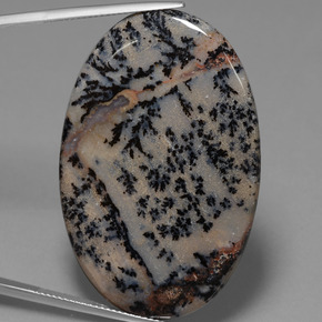 Agate dendritique multicolore naturelle coupe ovale, 52,67 ct, opaque