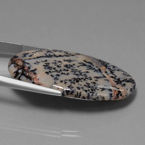 Agate dendritique multicolore naturelle coupe ovale, 52,67 ct, opaque