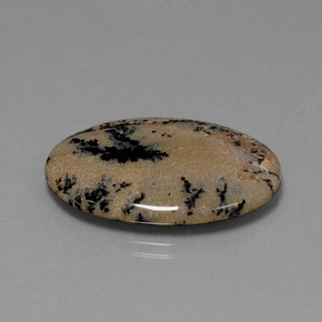 Dendritique Agate Multicolore naturelle Coupe ovale, 21.34 ct, Opaque