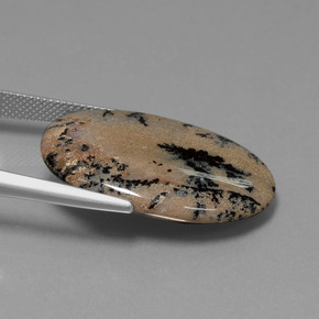 Dendritique Agate Multicolore naturelle Coupe ovale, 21.34 ct, Opaque