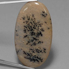 Agate dendritique multicolore naturelle coupe ovale, 44,37 ct, opaque