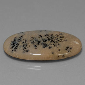 Agate dendritique multicolore naturelle coupe ovale, 44,37 ct, opaque