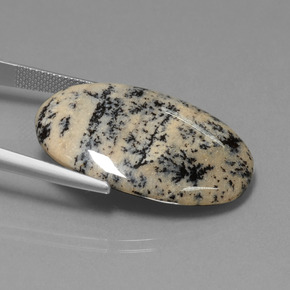 Dendritique Agate Multicolore naturelle Coupe ovale, 28.19 ct, Opaque