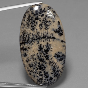 Agate dendritique multicolore naturelle coupe ovale, 36,58 ct, opaque