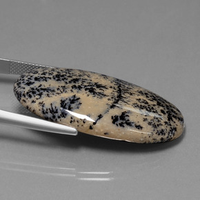 Agate dendritique multicolore naturelle coupe ovale, 36,58 ct, opaque
