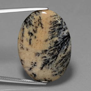 Agate dendritique multicolore naturelle coupe ovale, 23,90 ct, opaque