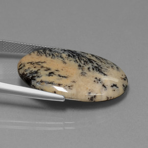 Agate dendritique multicolore naturelle coupe ovale, 23,90 ct, opaque