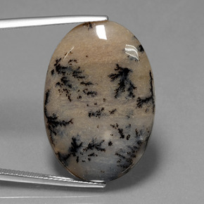 Agate dendritique multicolore naturelle coupe ovale, 26,13 ct, opaque