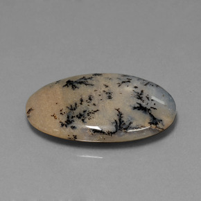 Agate dendritique multicolore naturelle coupe ovale, 26,13 ct, opaque