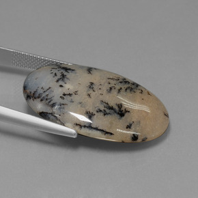 Agate dendritique multicolore naturelle coupe ovale, 26,13 ct, opaque