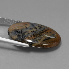 Dendritique Agate Multicolore naturelle Coupe ovale, 31.59 ct, Opaque