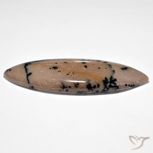 Dendritique Agate Brown-Black naturelle Marquise, 37.71 ct, Opaque