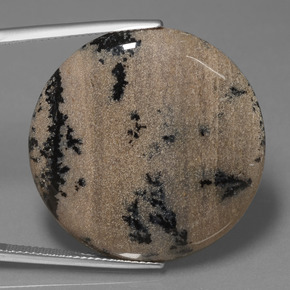 Dendritique Agate Multicolore naturelle Coupe roude, 36.61 ct, Opaque