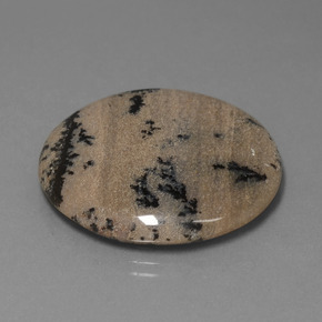 Dendritique Agate Multicolore naturelle Coupe roude, 36.61 ct, Opaque