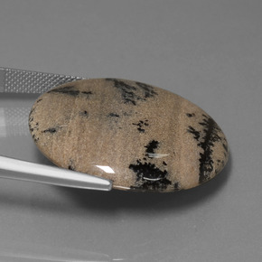 Dendritique Agate Multicolore naturelle Coupe roude, 36.61 ct, Opaque