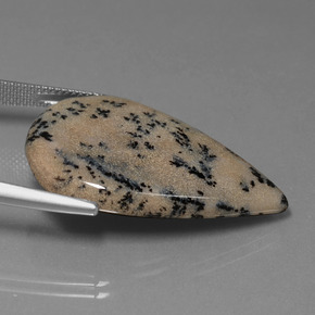 Dendritique Agate Multicolore naturelle En forme de poire, 28.31 ct, Opaque