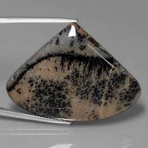 Agate dendritique multicolore naturelle forme fantaisie, 44,44 ct, opaque