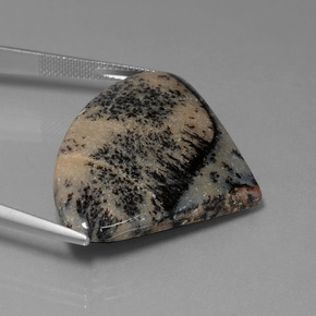 Agate dendritique multicolore naturelle forme fantaisie, 44,44 ct, opaque