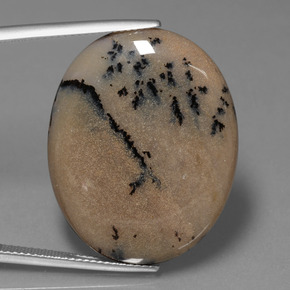 Dendritique Agate Multicolore naturelle Coupe ovale, 35.89 ct, Opaque