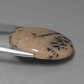 Dendritique Agate Multicolore naturelle Coupe ovale, 35.89 ct, Opaque