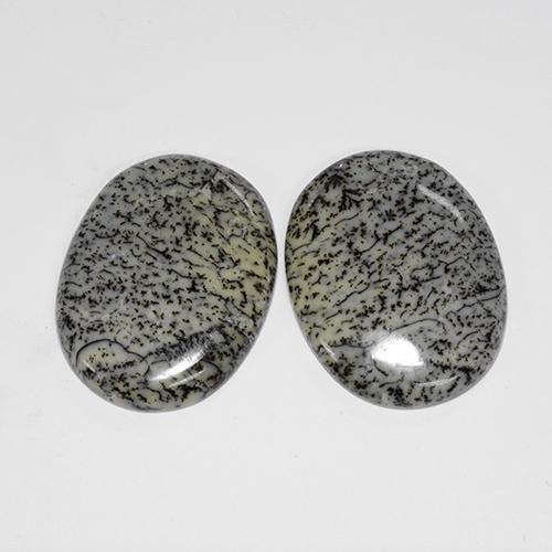 Achetez naturel 41,67ct multicolore agate dendritique gems, coupe ovale, en provenance inde chez gemselect. en stock, livraison internationale!