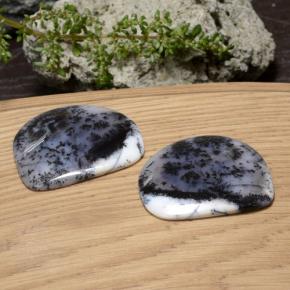 Achetez naturel 88,35ct multicolore agate dendritique gems, forme fantaisie, en provenance inde chez gemselect. en stock, livraison internationale!
