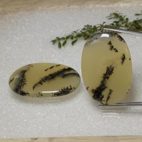 Achetez naturel 56,92ct multicolore agate dendritique gems, coupe ovale, en provenance inde chez gemselect. en stock, livraison internationale!
