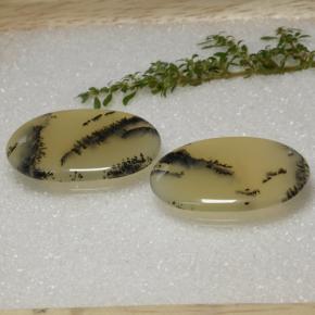 Achetez naturel 56,92ct multicolore agate dendritique gems, coupe ovale, en provenance inde chez gemselect. en stock, livraison internationale!