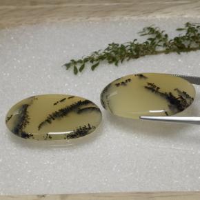 Achetez naturel 56,92ct multicolore agate dendritique gems, coupe ovale, en provenance inde chez gemselect. en stock, livraison internationale!