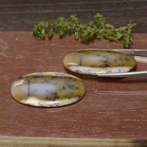 Achetez naturel 90,76ct multicolore agate dendritique gems, coupe ovale, en provenance inde chez gemselect. en stock, livraison internationale!