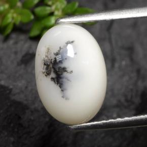 Dendritique Agate Noir blanc naturelle Coupe ovale, 2.70 ct, Opaque