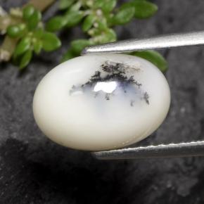 Dendritique Agate Noir blanc naturelle Coupe ovale, 2.70 ct, Opaque