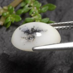 Dendritique Agate Noir blanc naturelle Coupe ovale, 2.70 ct, Opaque