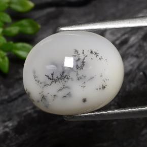 Dendritique Agate Noir blanc naturelle Coupe ovale, 3.70 ct, Translucide