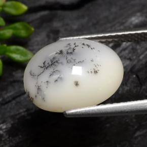 Dendritique Agate Noir blanc naturelle Coupe ovale, 3.70 ct, Translucide