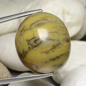 Agate dendritique multicolore naturelle coupe ovale, 30,23 ct, opaque