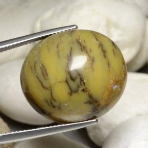 Agate dendritique multicolore naturelle coupe ovale, 30,23 ct, opaque