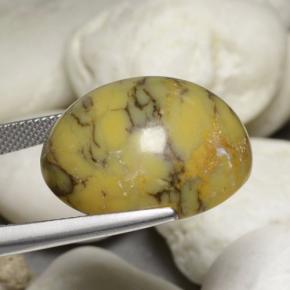 Agate dendritique multicolore naturelle coupe ovale, 30,23 ct, opaque