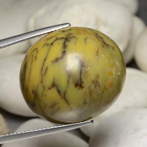 Agate dendritique multicolore naturelle coupe ovale, 35,24 ct, opaque