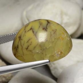 Agate dendritique multicolore naturelle coupe ovale, 35,24 ct, opaque