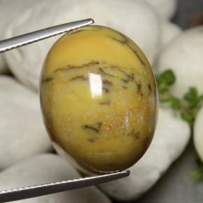 Dendritique Agate Multicolore naturelle Coupe ovale, 27.27 ct, Opaque