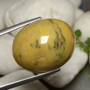 Dendritique Agate Multicolore naturelle Coupe ovale, 27.27 ct, Opaque