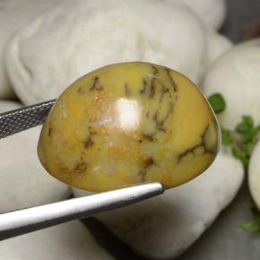 Dendritique Agate Multicolore naturelle Coupe ovale, 27.27 ct, Opaque