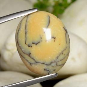 Agate dendritique multicolore naturelle coupe ovale, 6,18 ct, opaque