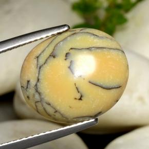 Agate dendritique multicolore naturelle coupe ovale, 6,18 ct, opaque